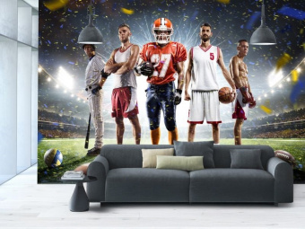 Фотообои Artmegahome Спорт