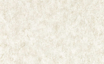 Обои Clarke & Clarke Expressions Performans