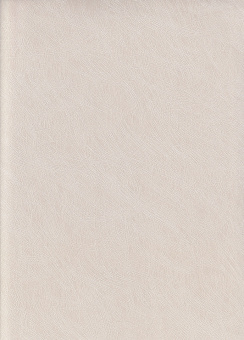 Обои SOM Project