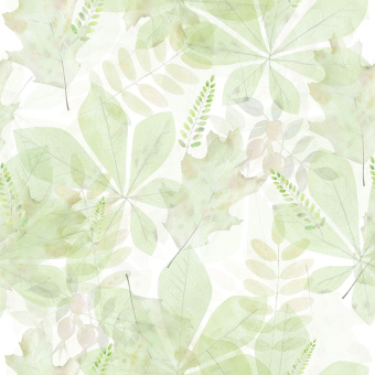 Фотообои Wall Street Fairy Foxes