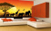 Фотообои Artmegahome Животные
