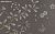 Обои Fromental Chinoiserie