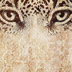  Обои Skinwall Contemporary Collection