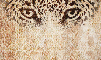  Обои Skinwall Contemporary Collection