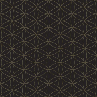 Обои Parato Amazzonia