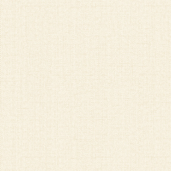 Обои Alessandro Allori Bruni