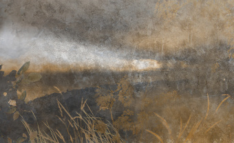  Обои Skinwall Suite Collection