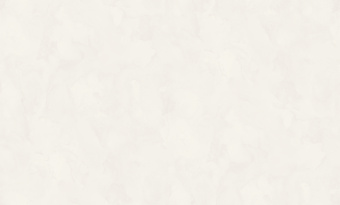 Обои Rasch Bright Whisper