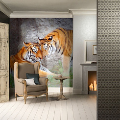 Обои Artmegahome Животные