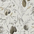Обои Khroma Cabinet of curiosities
