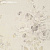 Обои AS Creation Bella Casa