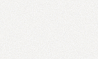 Обои Rasch Bright Whisper