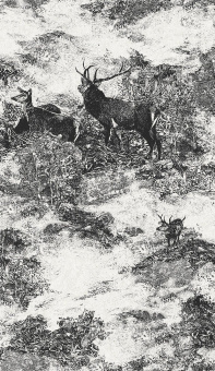 Обои Architector Sauvage II