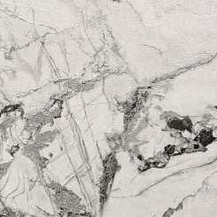 Обои Cassanie Sylvia