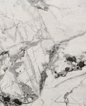 Обои Cassanie Sylvia