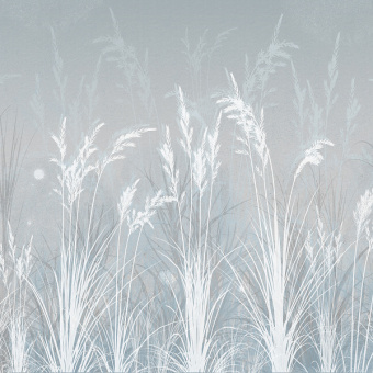 Фотообои Мне обои