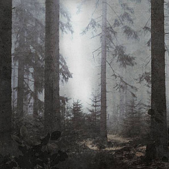  Обои Skinwall Suite Collection