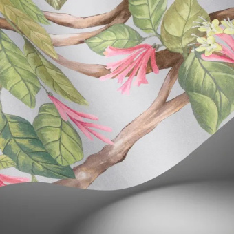 Обои Cole & Son Selection of Hummingbirds