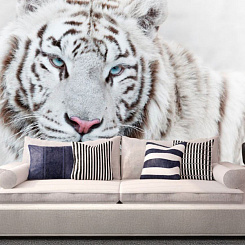 Обои Artmegahome Животные