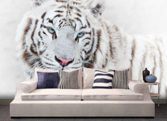 Фотообои Artmegahome Животные