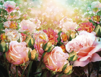 Фрески/Панно ORTOGRAF