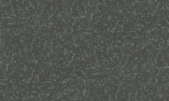 Обои Cassanie Mainz