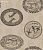 Обои Cole & Son The Ardmore Collection