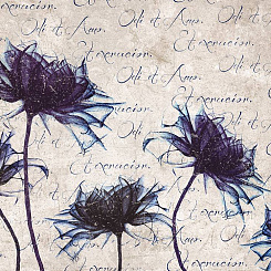  Обои Skinwall Contemporary Collection