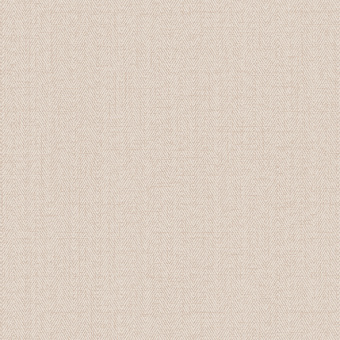 Обои Alessandro Allori Bruni