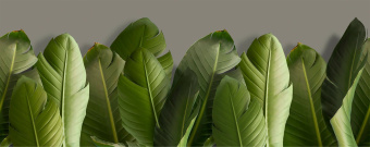 Фотообои Respace Цветы  Пальмира