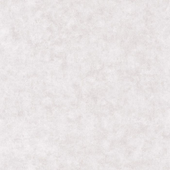 Обои Caselio Beton 2