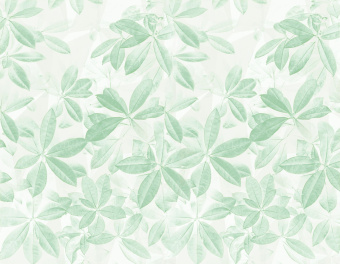 Фотообои Respace Цветы  Буйный рост