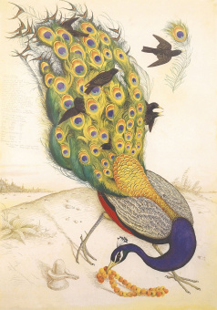 Фрески/Панно ORTOGRAF