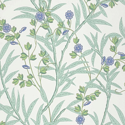 Обои Little Greene National Trust Papers 4