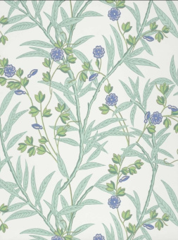 Обои Little Greene National Trust Papers 4