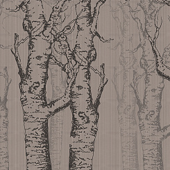  Обои Skinwall Coordinated Collection