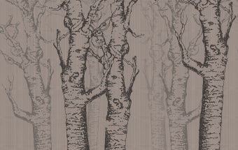  Обои Skinwall Coordinated Collection