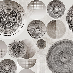 Фотообои Wall Street BERYOZI I VODOPADY