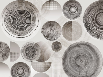 Фотообои Wall Street BERYOZI I VODOPADY