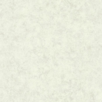 Обои Caselio Beton 2