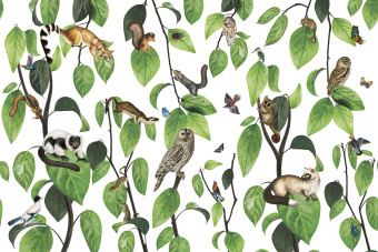 Фрески/Панно ORTOGRAF Miracle