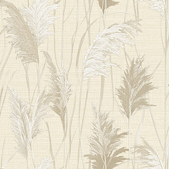 Обои Alessandro Allori Giorgio