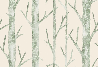 Обои JV LICENZE Scalamandre