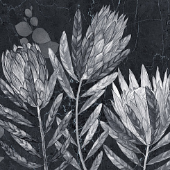 Фотообои Wall Street HERBARIUM