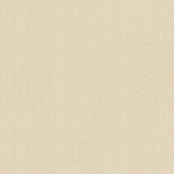 Обои Alessandro Allori Bruni