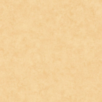 Обои Caselio Beton 2