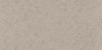 Обои Alessandro Allori Argiano