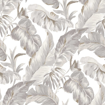 Обои Parato Amazzonia