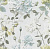 Обои Designers Guild Jardin Des Plantes