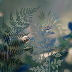 Фотообои Wall Street GREENDAY 22